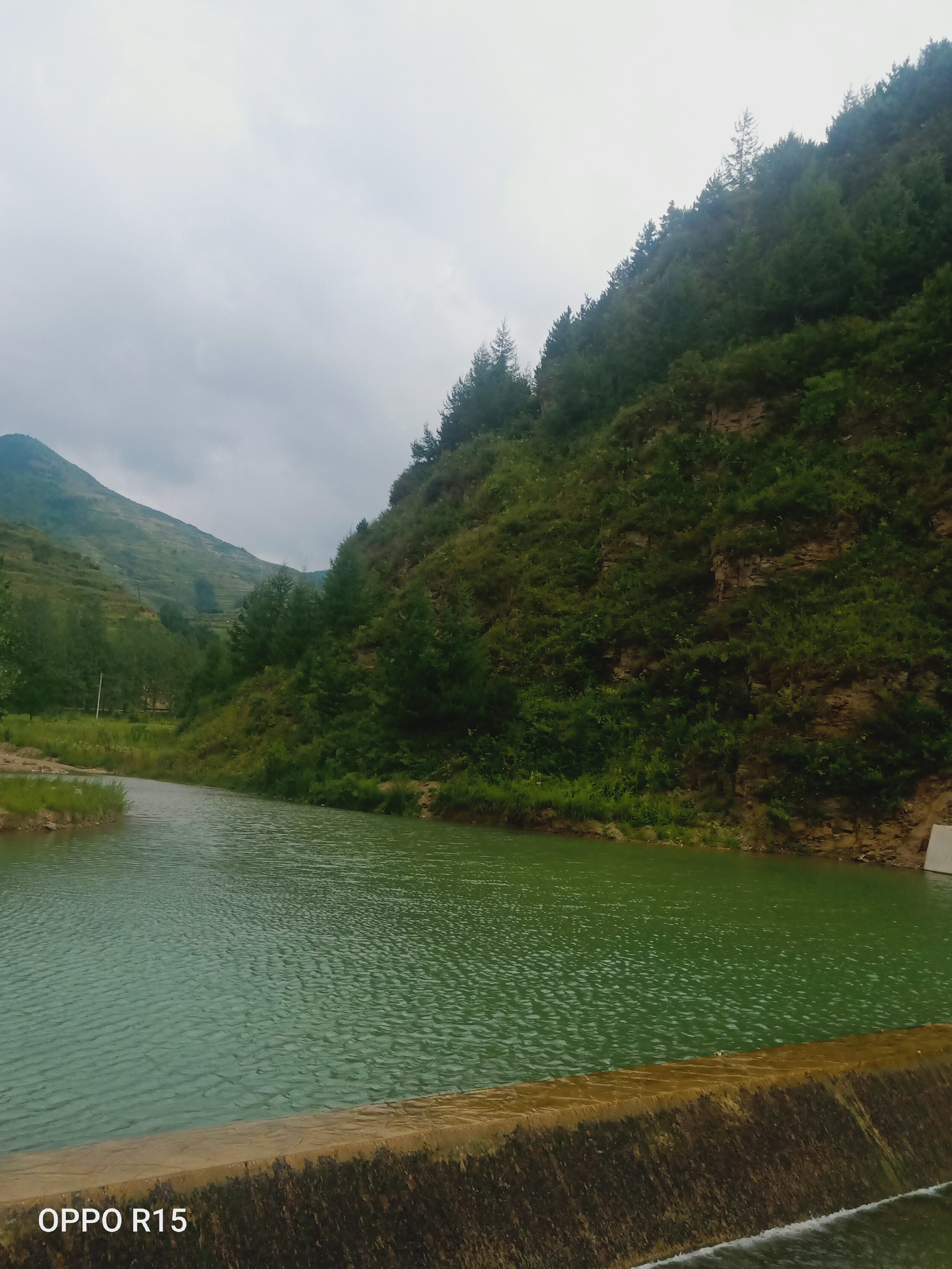 1666854714322617.jpg 1666854714322617.jpg